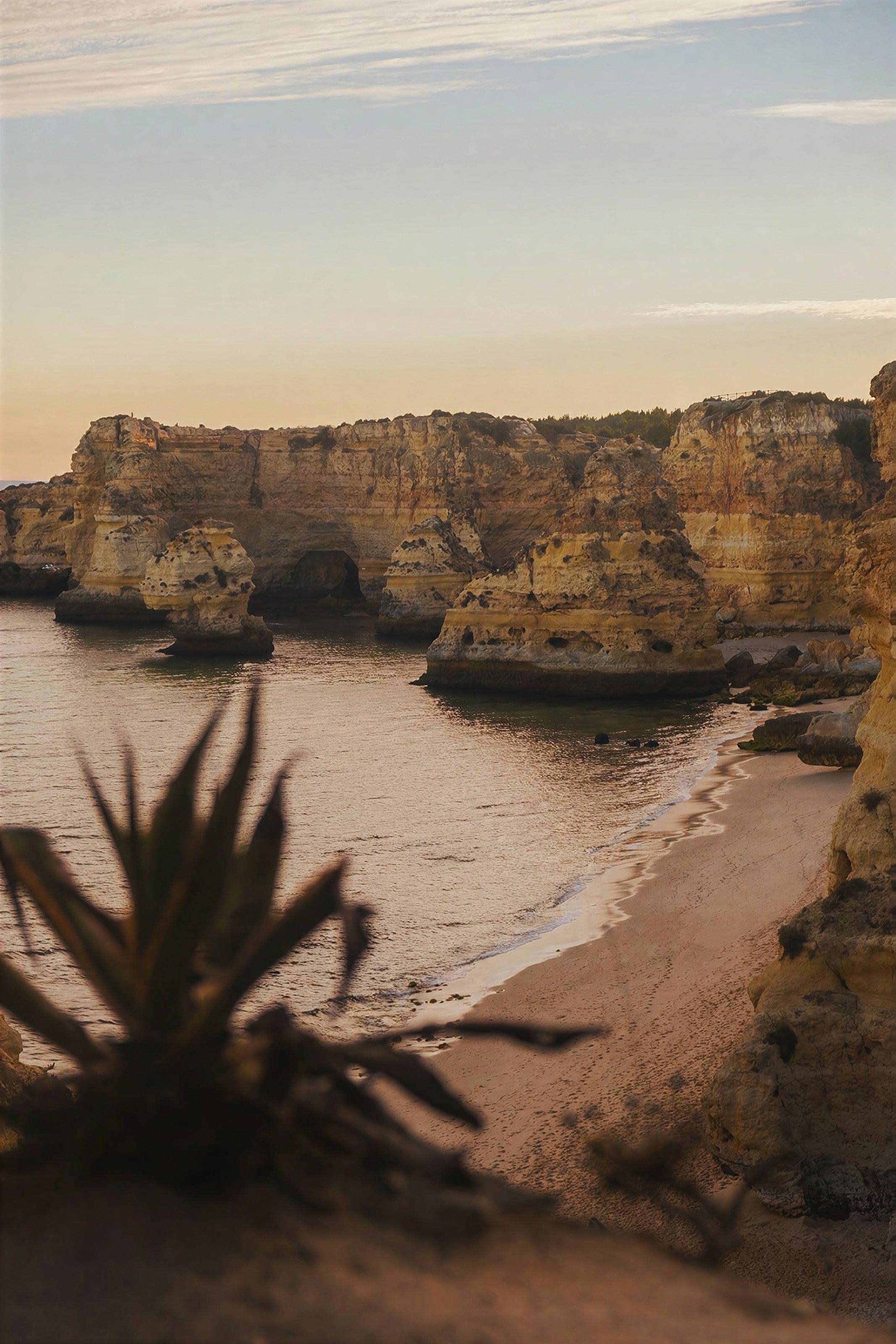 Golden sandstone cliffs around a small cove on the Portuguese coast
