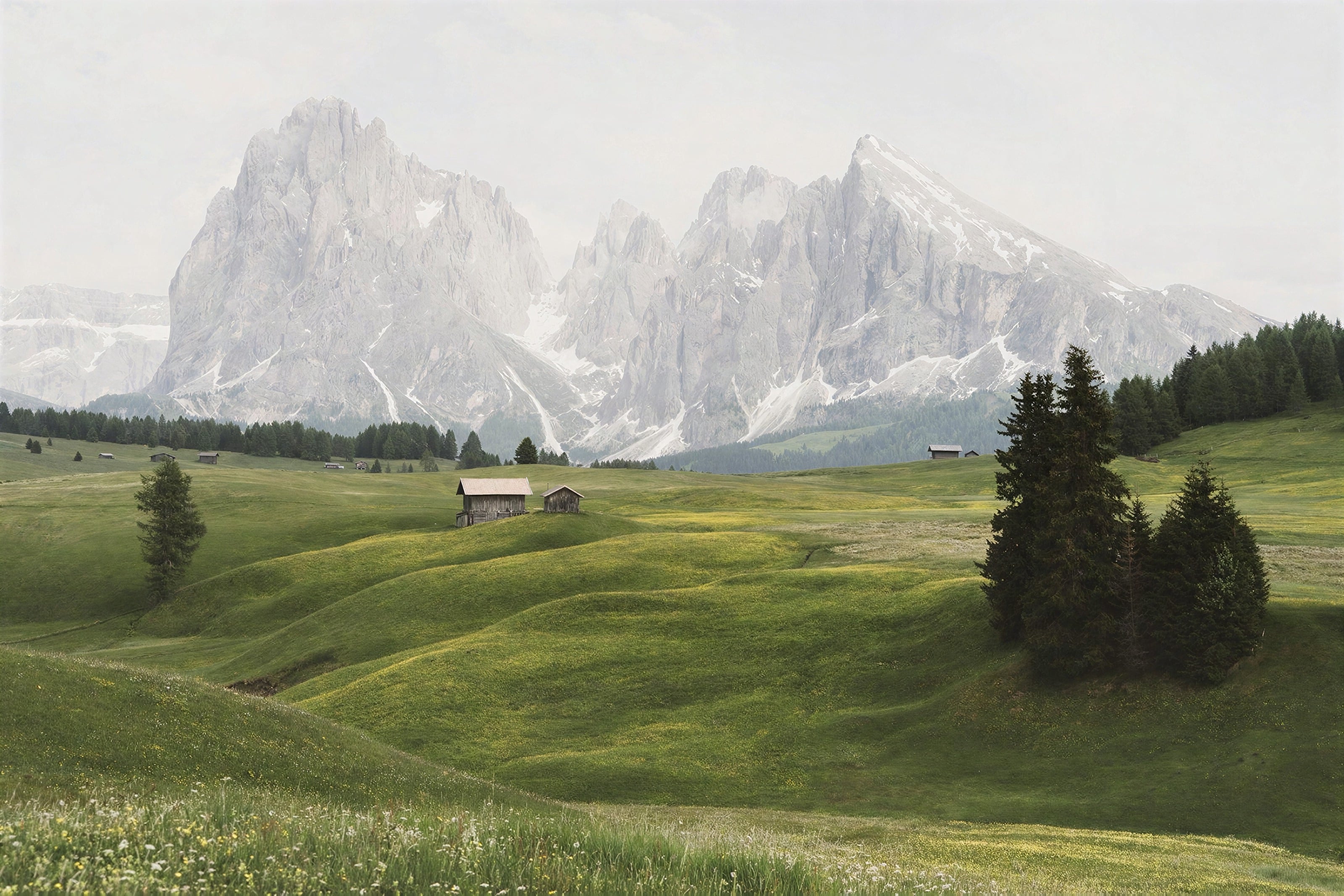 An alpine meadow and a wooden hut below Dolomites peaks