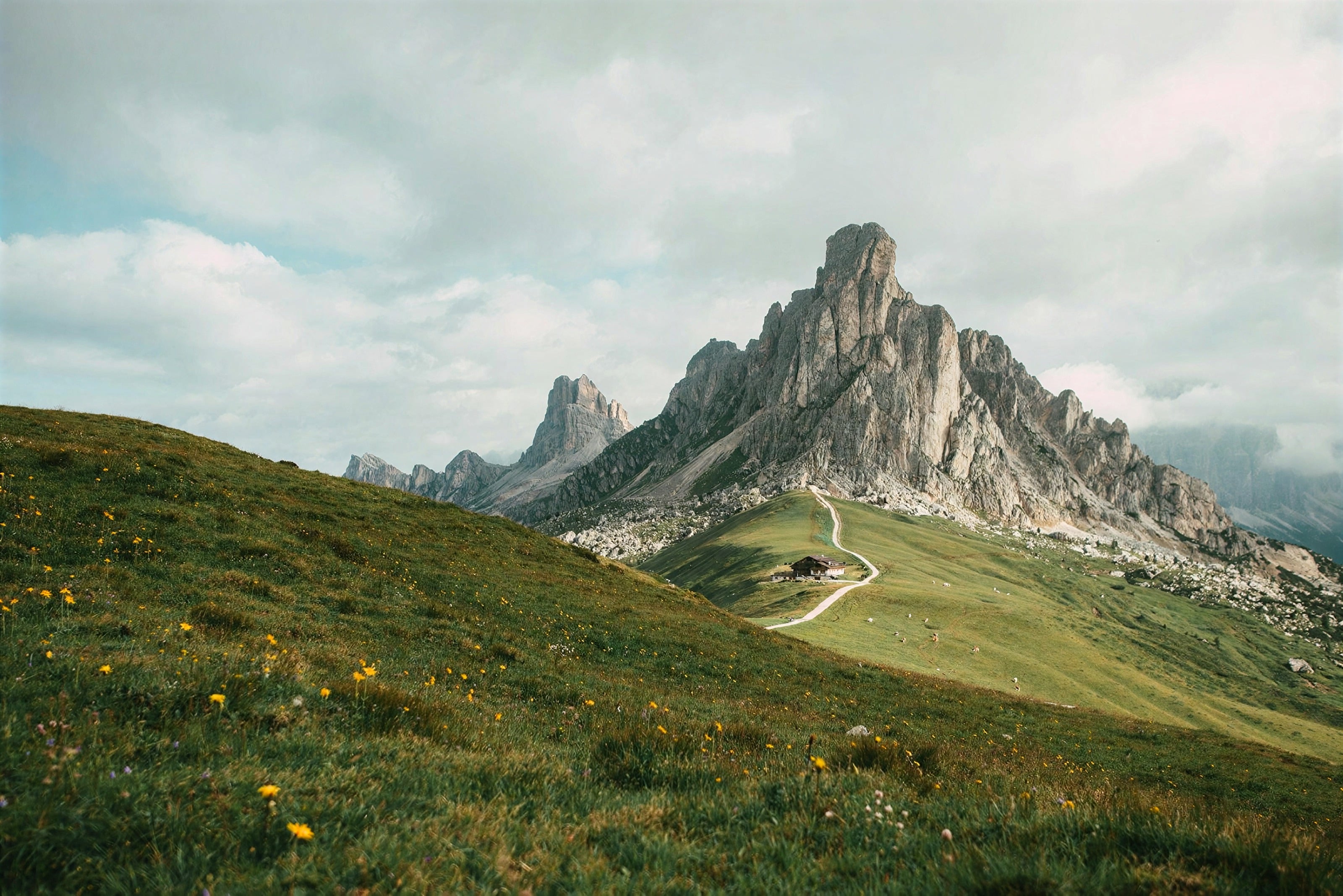 A grassy alpine meadow below a jagged Dolomites peak